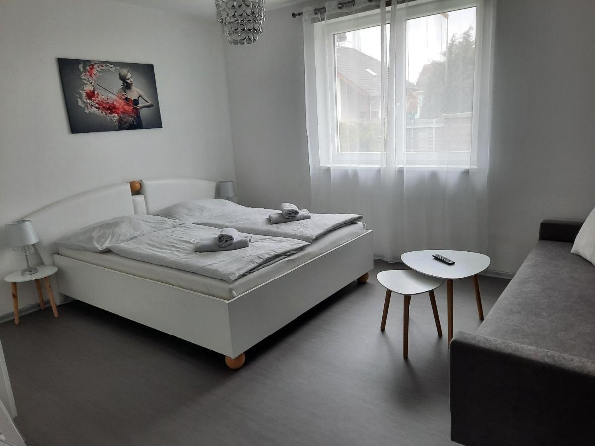 Ela Apartment Vilova Skalná Exterior foto